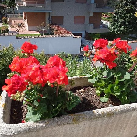 Villa Nerina Alloggio Turistico อันซีโอ ภายนอก รูปภาพ